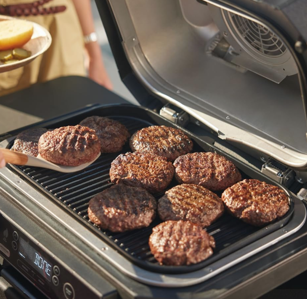 <h2>Electric Grill</h2>